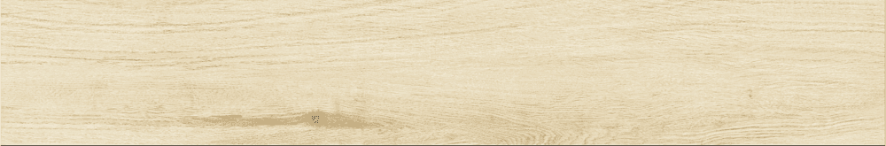 BHD-2008 Betula