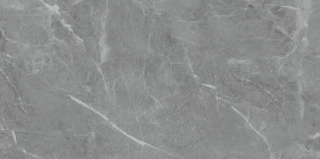 Belvedere Eva Gris Polished 60x120 см