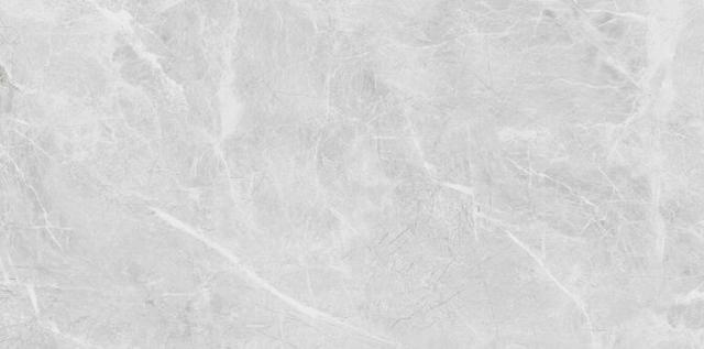 Belvedere Eva Grey Polished 60x120 см