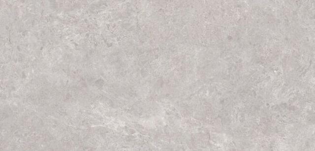 Grand Classic Tokyo Grey Polished 80x160 см