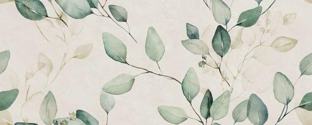 Alure Caudalie Ivory 30х75