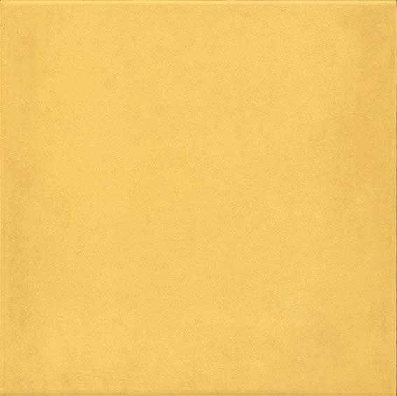 1900 Amarillo 20x20