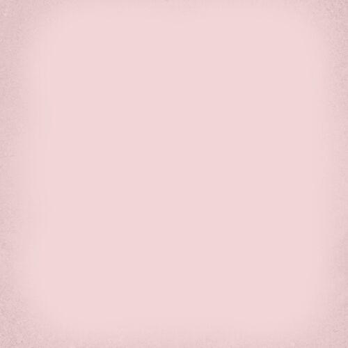 1900 Rosa 20x20