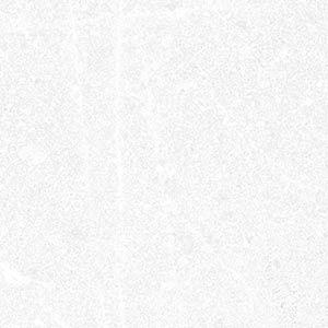 Corneille-R Blanco 15x15