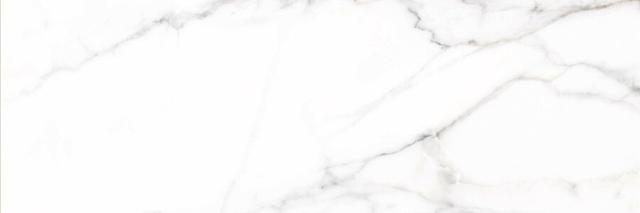 Lesolo-R Blanco 32x99