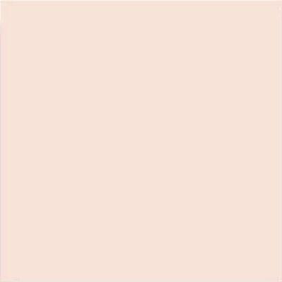 Salmon Mate 20x20
