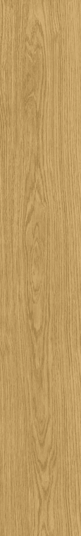 05389 Solorovere Flamed 20x120