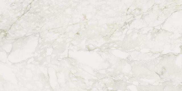 Medley Prince Molato 60x120
