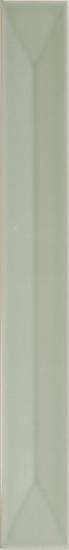 Vitral Axis Mint 5x40 см