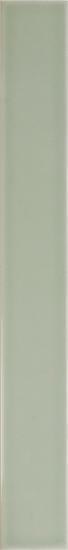 Vitral Mint 5x40 см