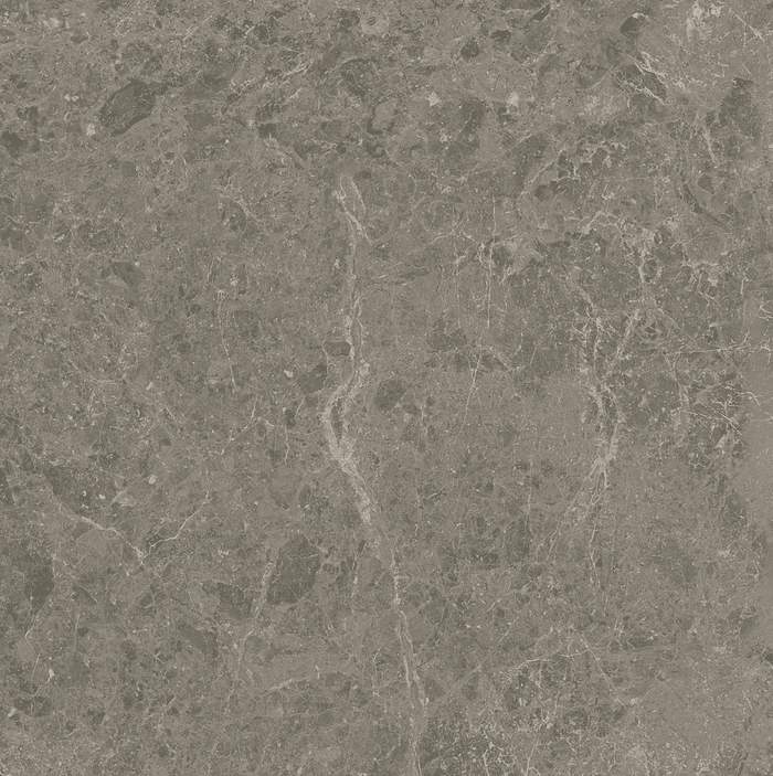 Marvel Meraviglia Grigio Elegante Matt. 60x60