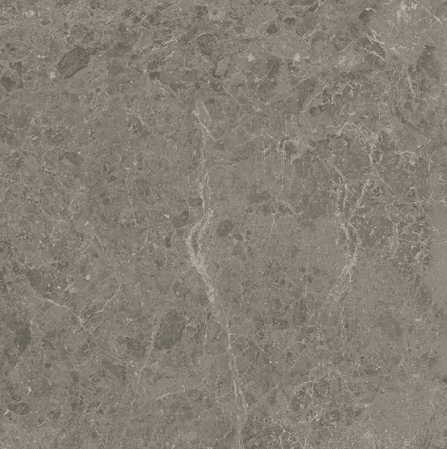 Marvel Meraviglia Grigio Elegante Matt. 60x60
