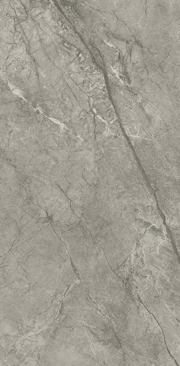 Marvel Meraviglia Silver Majestic Matt. 60x120