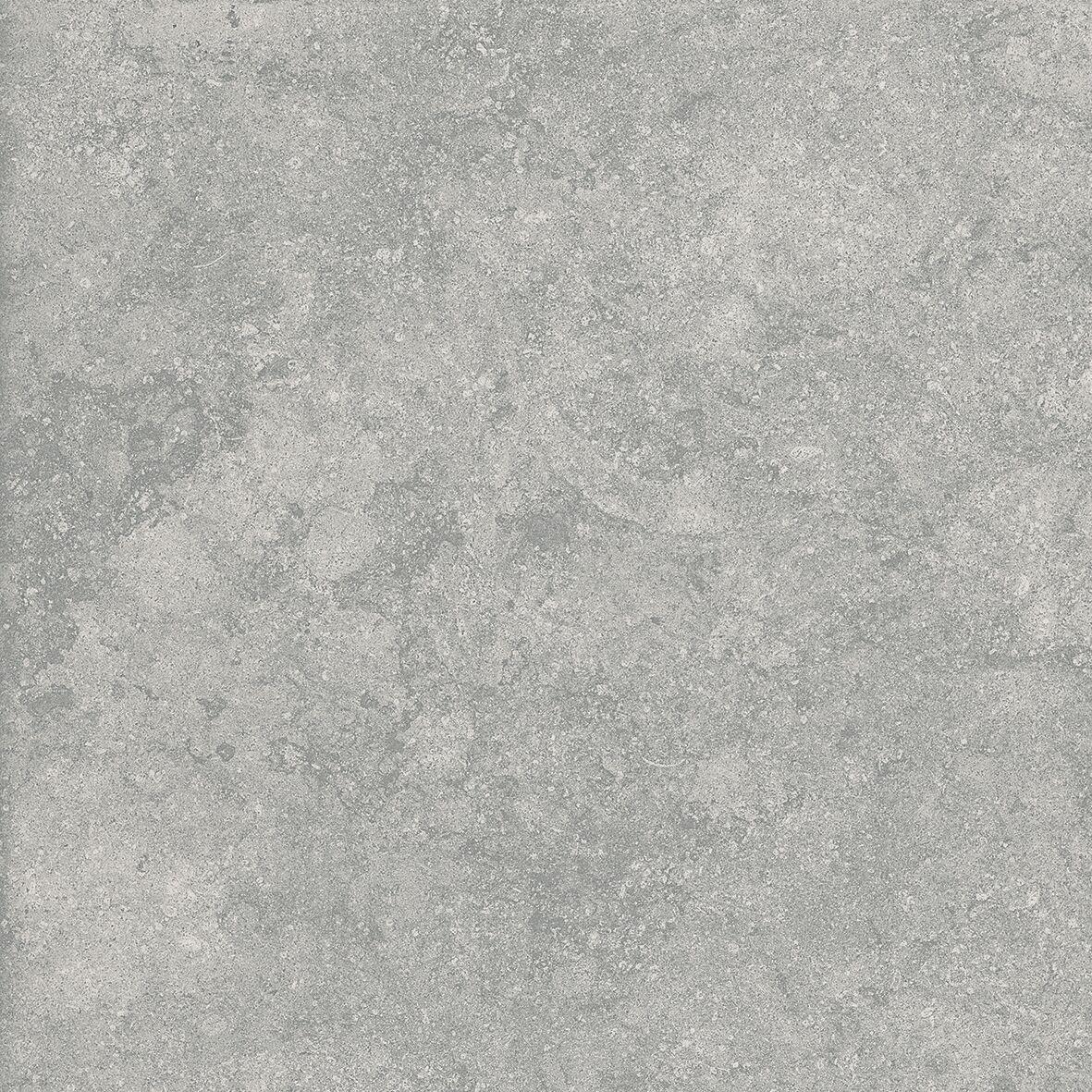 Fossil Gris 2 cm 60x60